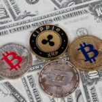 Why Did Certain Cryptocurrencies Lose Valuation