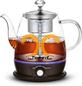 Electric Tea Kettles with Infusers